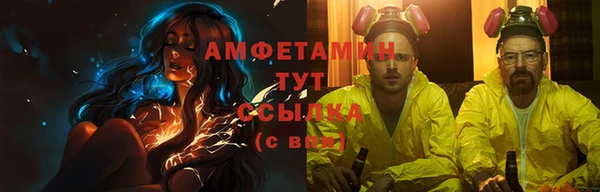 прущие грибы Балахна