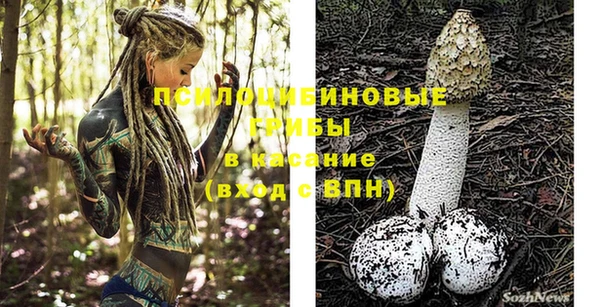 прущие грибы Балахна