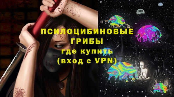 прущие грибы Балахна