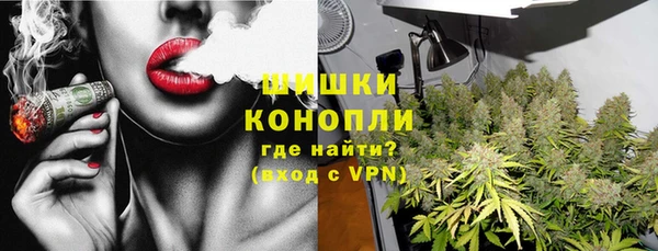 прущие грибы Балахна