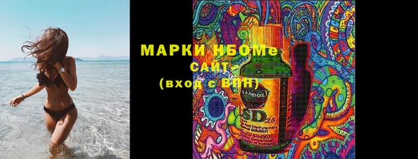 прущие грибы Балахна