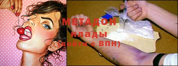 прущие грибы Балахна
