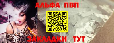 мет Кингисепп