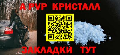 мет Кингисепп