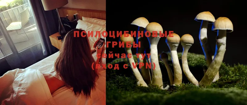 Галлюциногенные грибы Magic Shrooms  Бирск 