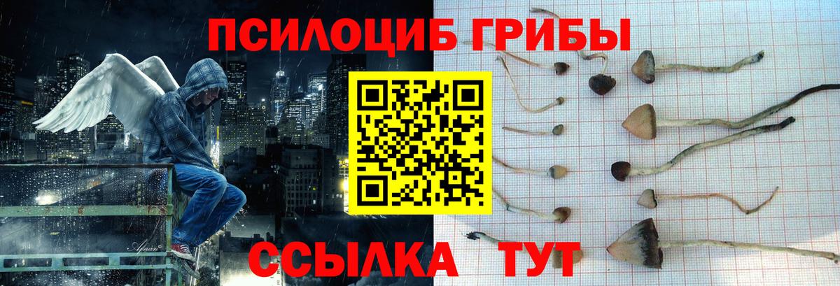 Бирск  Псилоцибиновые грибы MAGIC MUSHROOMS  Вход с VPN 