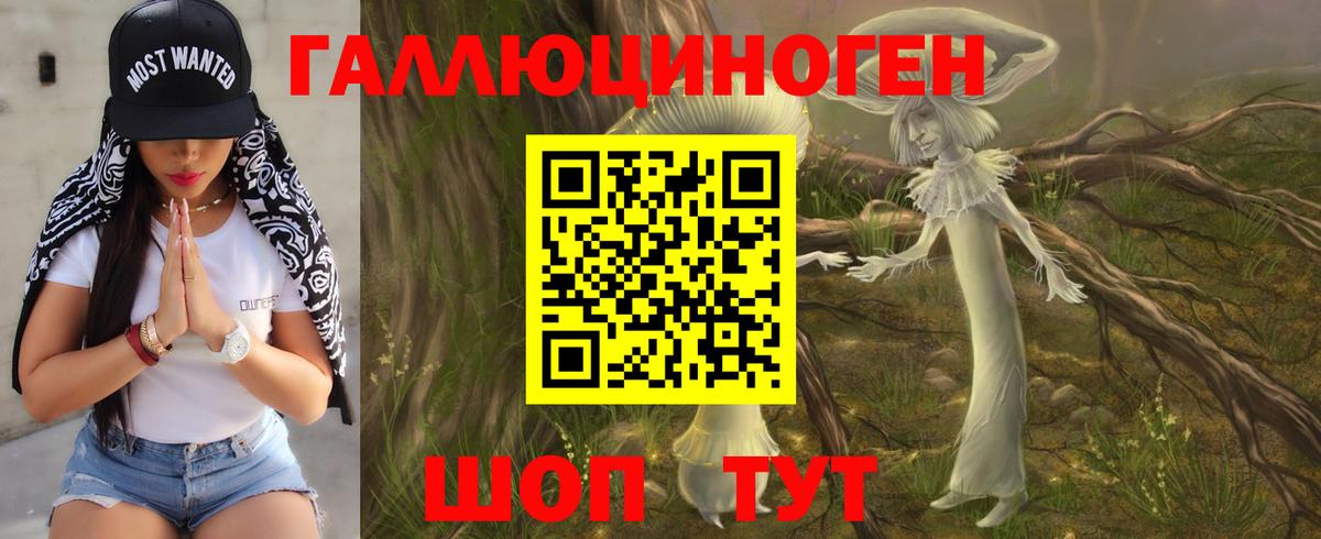 Галлюциногенные грибы Psilocybine cubensis  Бирск  Псилоцибиновые грибы Cubensis 