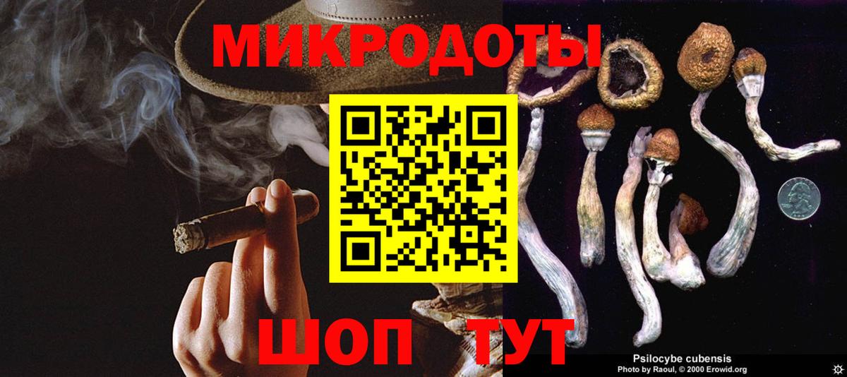 Псилоцибиновые грибы мухоморы Бирск